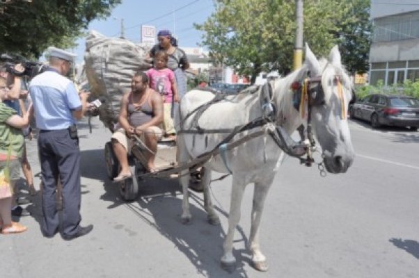Se întâmplă pe străzile municipiului Constanţa: La plimbare cu căruţa burduşită şi minori cocoţaţi în vârful sacilor